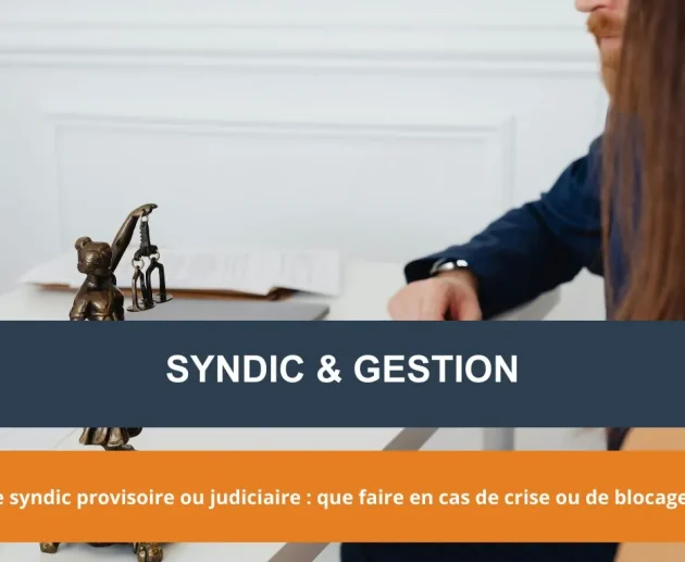 Le syndic provisoire ou judiciaire : que faire en cas de crise ou de blocage ?